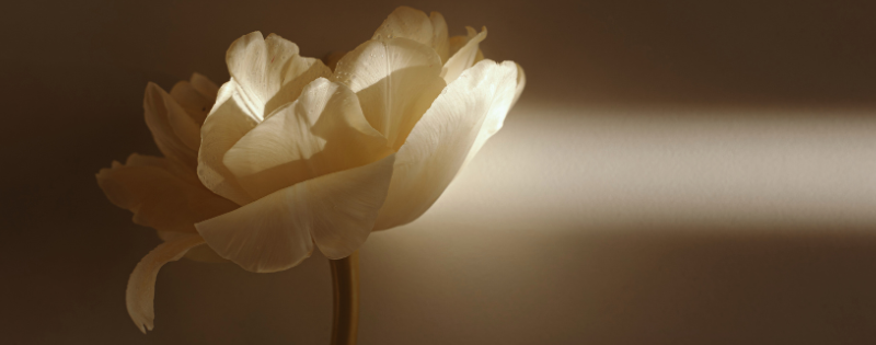 piritual abuse recovery and healing from toxic Christianity