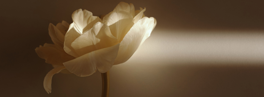 piritual abuse recovery and healing from toxic Christianity