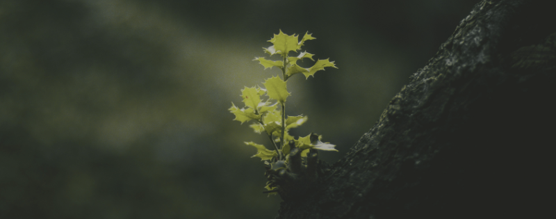 Faith-based blog post about being addicted to comfort and how avoiding discomfort suffocates spiritual and personal growth