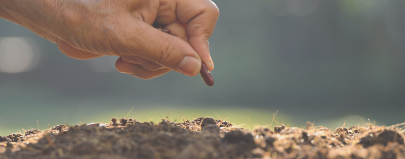 Christian friendships with non-believers -- planting a seed