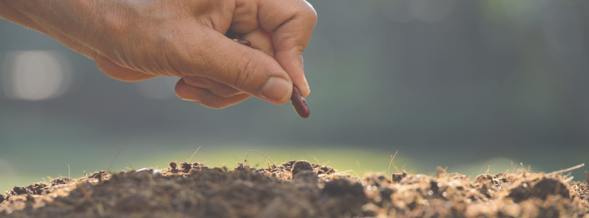 Christian friendships with non-believers -- planting a seed